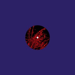 PREMIERE: Goodbye Mirage - Surfing Blank Mind [Funnuvojere Records]