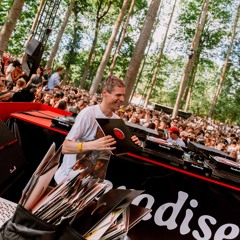 Shonky live at Forest Stage, Paradise City 2025