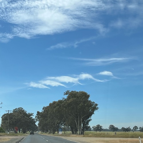 The matrix (bubble wrapped)