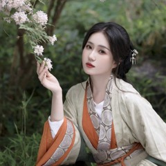 Kinh Hồng Nhất Diện 惊鸿一面  Vương Đại Nương Vương Đại Pháo