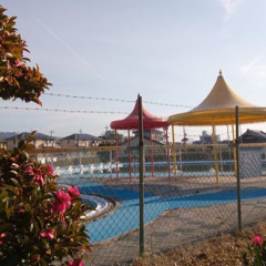 リプトンミルクティ