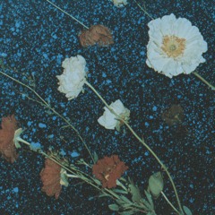 Drowsy (Goodbye 2025)