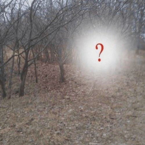 hissiest - till i die +cxble +knowledge