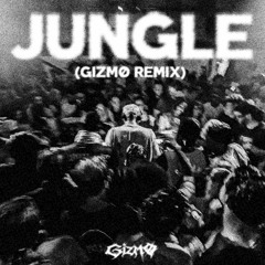 FRED AGAIN - JUNGLE (GIZMØ REMIX)