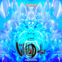 The Witch Doctor - Depths - Ovnimoon records