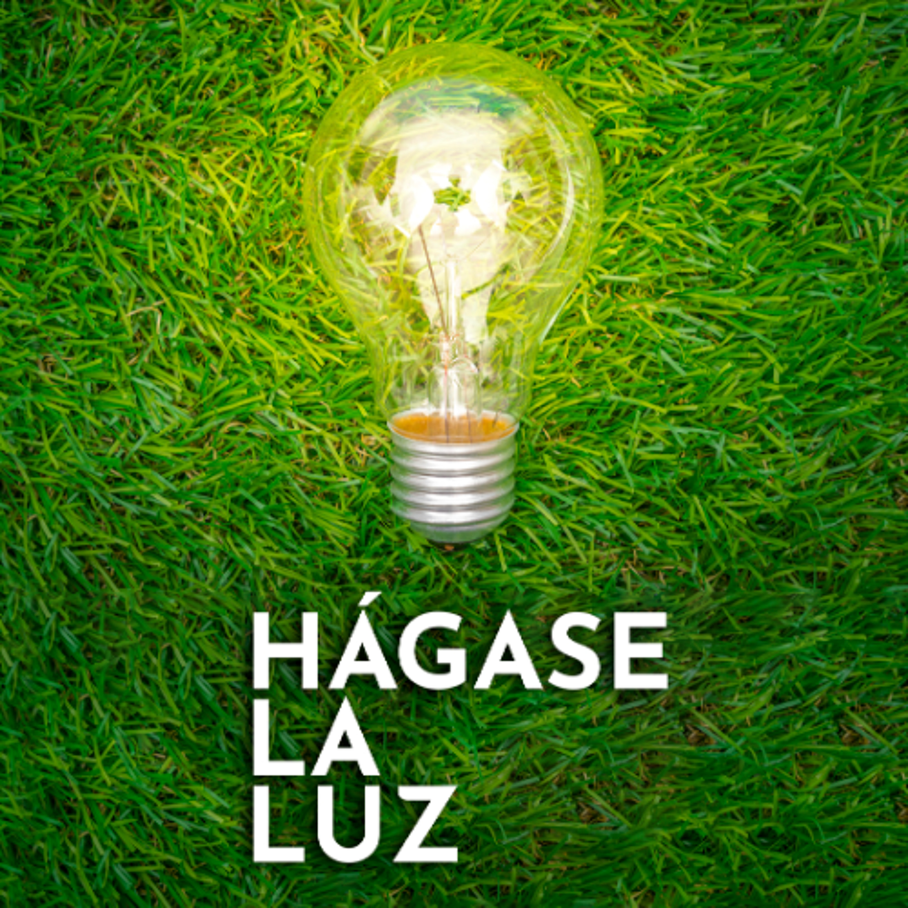 Hágase la Luz con Daniel Salazar, Daniela Gonzalez y Rosa Riquelme, 14 de octubre