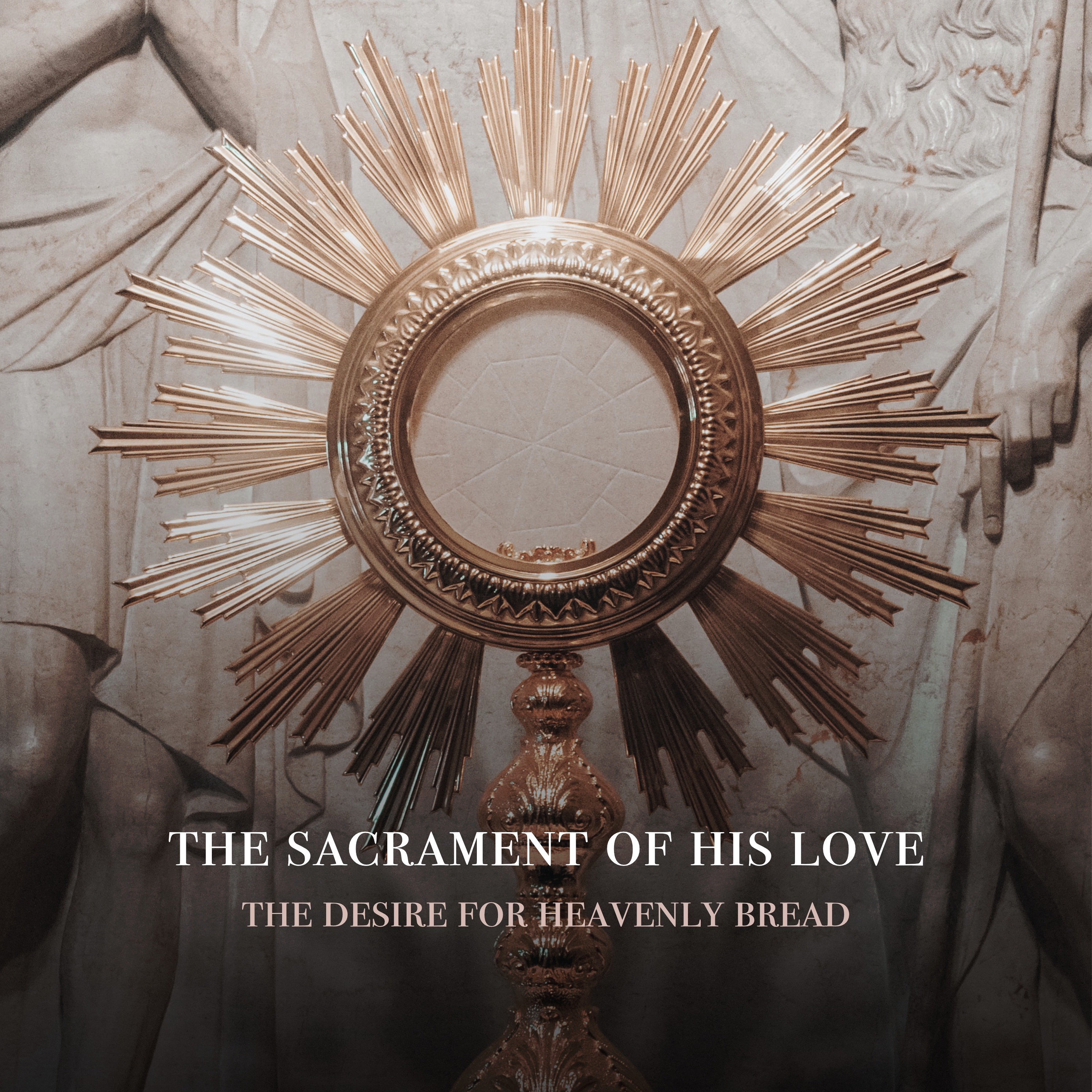 Fr. Barry Braum - Homilies and Conferences