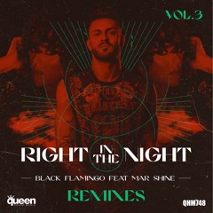 Black Flamingo Ft. Mar Shine - Right In The Night (Brian Cua Tribal Rave Remix)