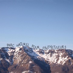 Tom Leclerc - Buzzard