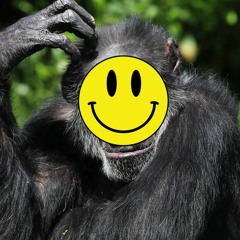 Acid Monkey