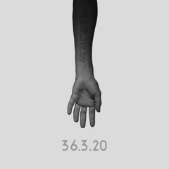 36.3.20
