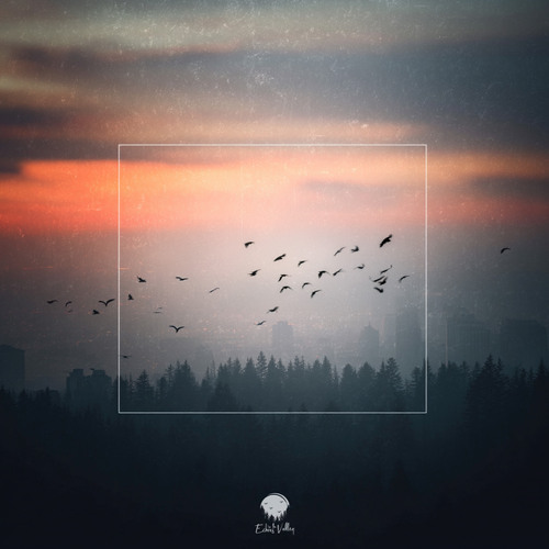 A Pause In the Noise