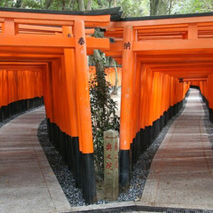 Review Special Price PERFECT KYOTO 1-Day Bus Tour