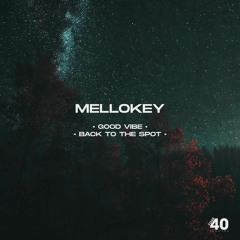 MelloKey - Good Vibe (Eyes For You)