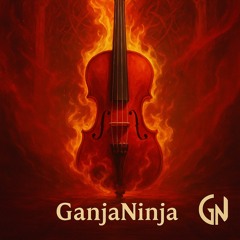 Violine de la Caos