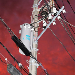 red rose rokkoutt  prod 222quiet