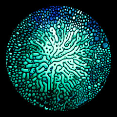 Nightbird - SNTP 097 - Radio Edit