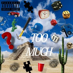 Too Much (prod. PASH)