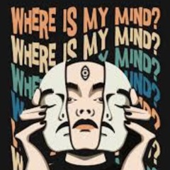 Where is my mind? {instrumental cover}
