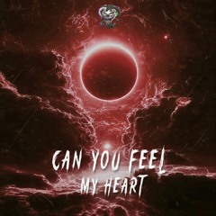 S'Kor - Can You Feel My Heart [FREE DL]
