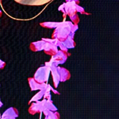 PETALS