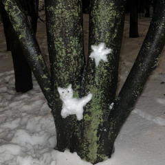 Didi Han - 15 Décembre 2025