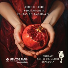 Presentación libro "Psicoanálisis, fantasía y embarazo" de Gabriel Espíndola