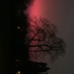 GawdDamn (Ft.lilBrenny,Greebee)