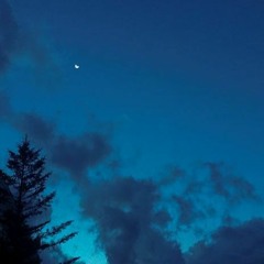 또 밤 (DEMO)