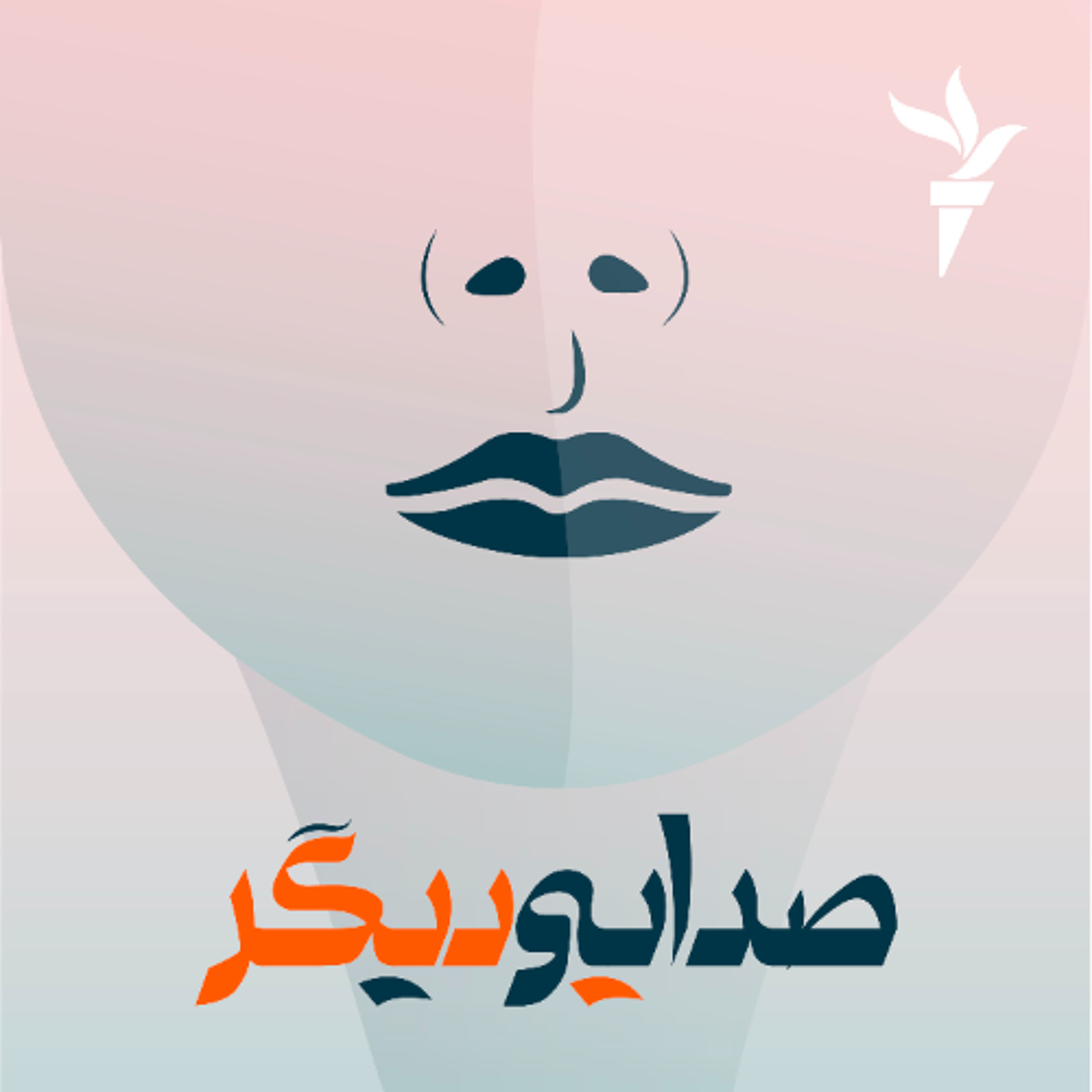 از نقص تا بیماری بدحجابی، چگونه جمهوری اسلامی راه خود را هموار می‌سازد؟