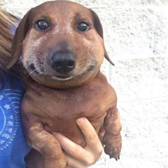 рофл