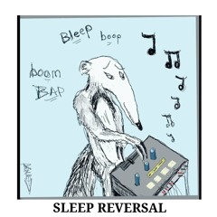 Recoil - Sleep Reversal