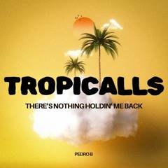 Shawn Mendes - There's Nothing Holdin' Me Back (Pedro B Edit)