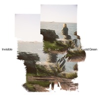 idealism x lucid green - invisible