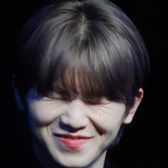 woozi anyone guide ver.