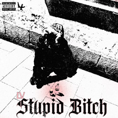LV - Stupid Bitch #LKExklusive