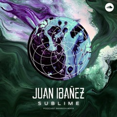 SUBLIME Podcast Session