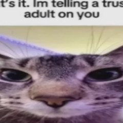 when you find a time machine and head into the future and see yourself fighting an electronic boss