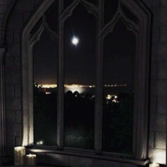 percatric - party trick (meerski22) [untitled radio excl.]