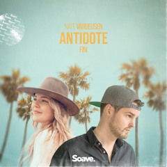 Nate VanDeusen & Fini - Antidote