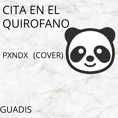 CITA EN EL QUIROFANO -  (COVER PXNDX) GUADIS