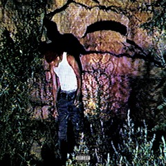 #johnnicage < prod.vudu> <wydbryson> VIDEO ON @Gnebulaa desc#