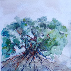 9. Las olivas de la resistencia, el aceite amargo