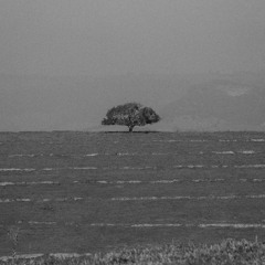 Static and a Heartbeat (Remastered)