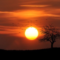 Irmão do sol