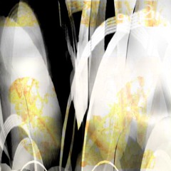 Prevasion ｡✪◒✪｡Vibration