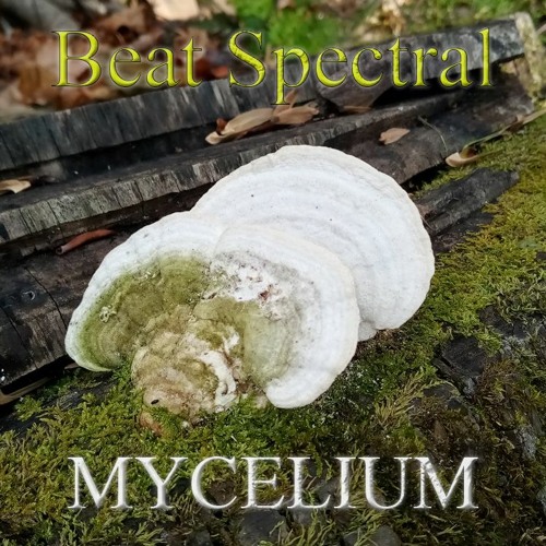 Beat Spectral - Mycelium