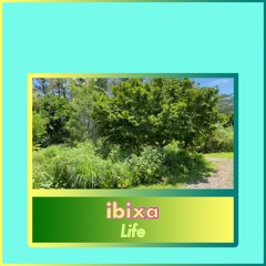 Life (feat. Dan McDonald "The Liferegenerator")