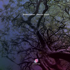 Premiere: Shaded Explorer "Harmonic Growth" - Pregnant Void