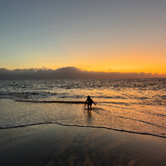 BIRDS FROM THE SKY april26 2